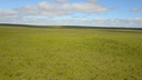 1100 Has - Paysandú
