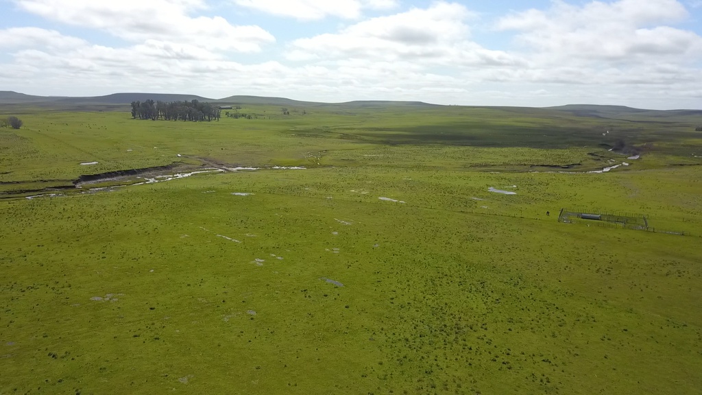 1100 Has - Paysandú