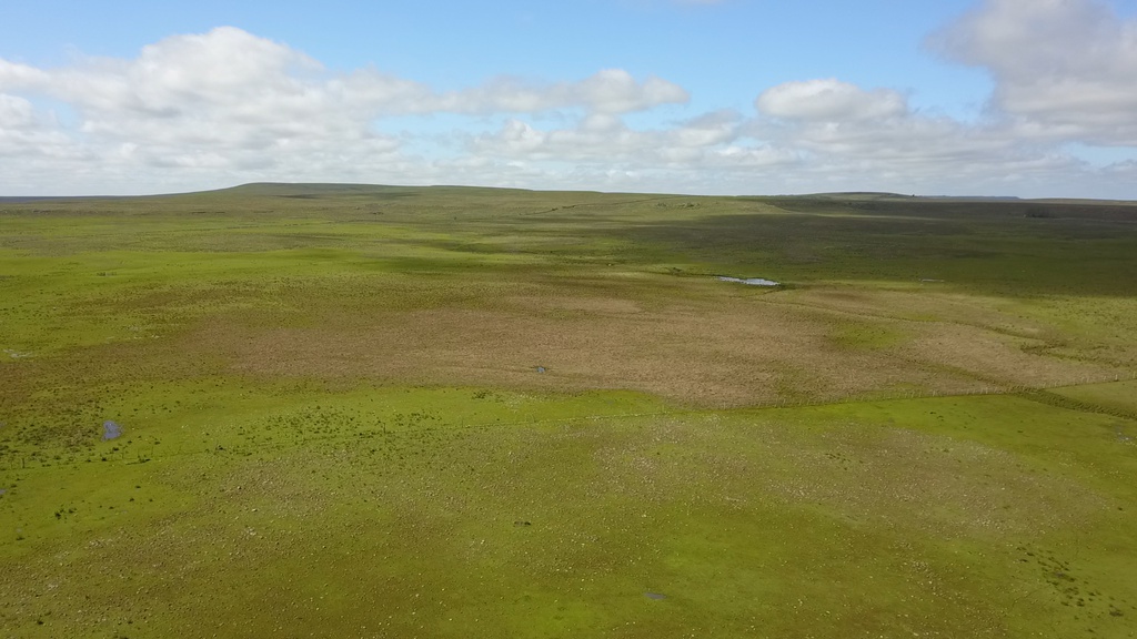 1100 Has - Paysandú