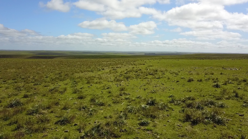 1100 Has - Paysandú