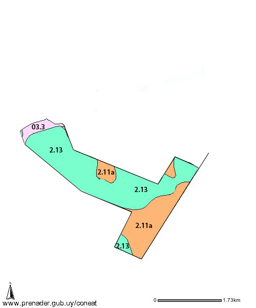 613 Has - Florida