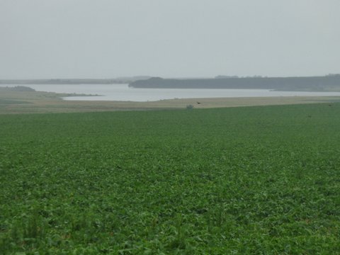 800 Has - Rio Negro