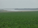 800 Has - Rio Negro