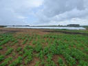 800 Has - Rio Negro