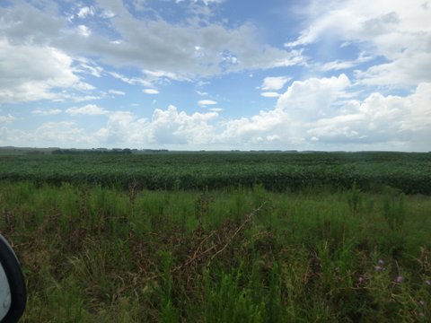 800 Has - Rio Negro