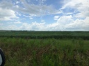 800 Has - Rio Negro