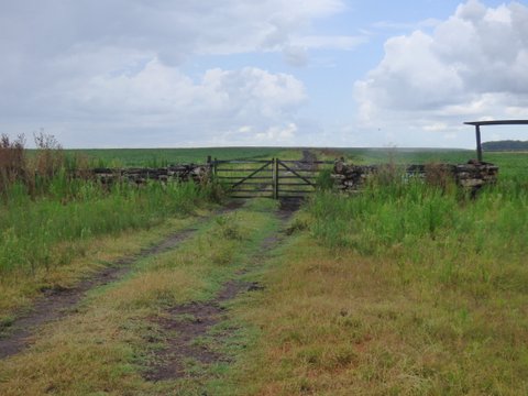 800 Has - Rio Negro
