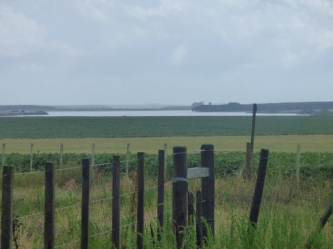 800 Has - Rio Negro