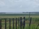 800 Has - Rio Negro